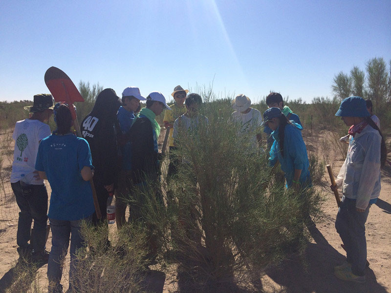 ������Ҫ��һ���ļ��ɺͽ�(j��ng)�(y��n)��ͬ�W(xu��)���_ʼ������һƬ�����ַ��ز����^�m(x��)�����[�ص��󶴡�