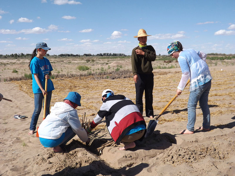 �@�N1.5��Ҋ�������ݸ��ӣ���ɳЧ����������^4��5���͕�(hu��)�L(f��ng)�g��������Ҫ�����a(b��)����