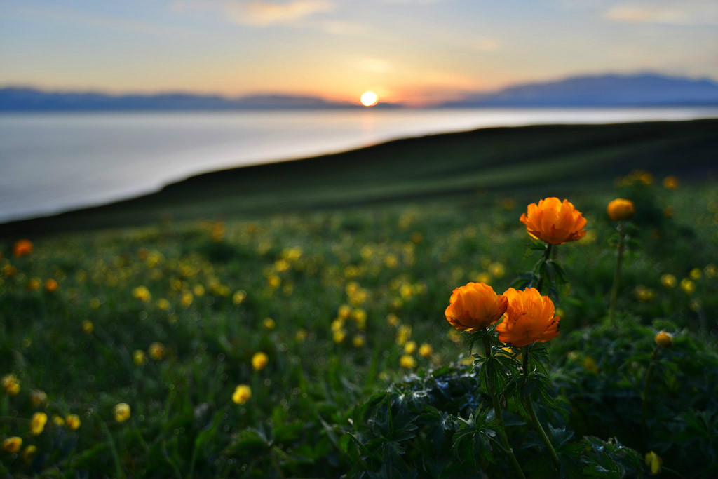 你會唱家鄉(xiāng)的歌嗎?