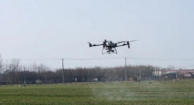 河北:科技護(hù)航小麥返青