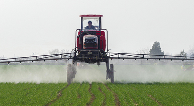 河北雞澤:小麥管護(hù)忙